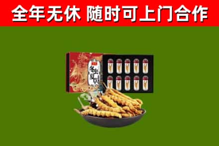 平谷区烟酒回收冬虫夏草礼盒.jpg